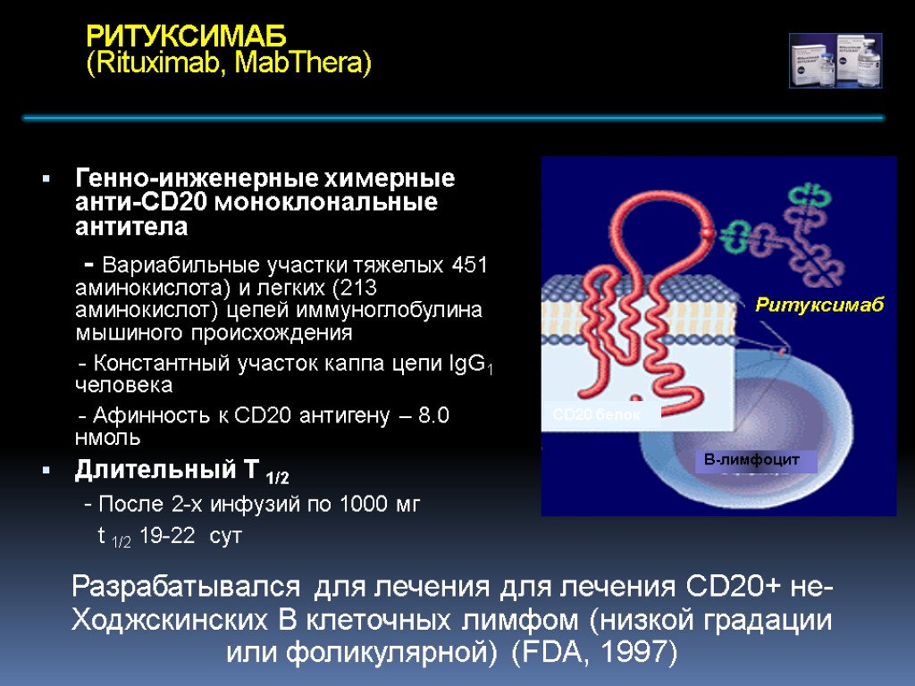 РИТУКСИМАБ (Rituximab, MabThera) Генно-инженерные химерные анти-CD20 моноклональные антитела - Вариабильные участки тяжелых 451 аминокислота)